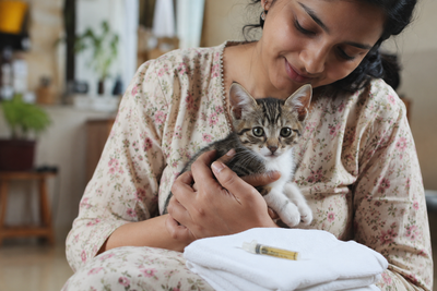 Indian pet parent preparing to deworm a kitten at home as part of a routine parasite prevention schedule 