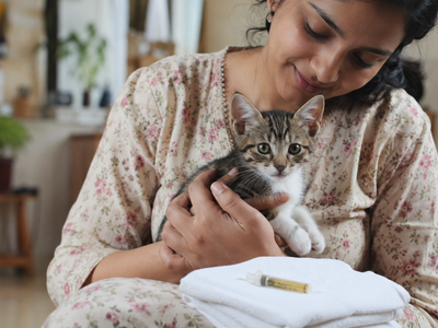 Intestinal Worms and Parasites in Cats: Complete India Deworming Guide
