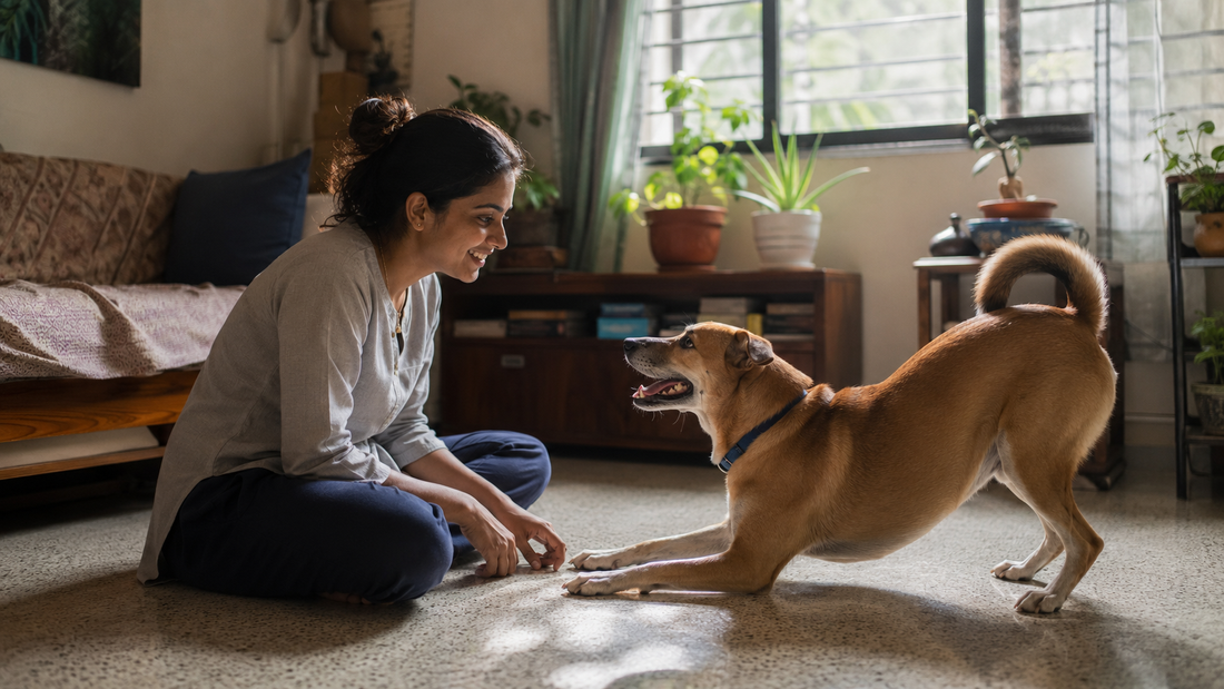 Indian pet parent reading her happy dog's relaxed body language at home, understanding dog behaviour.