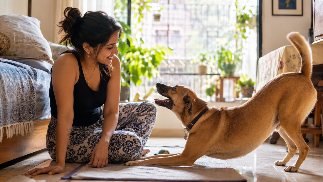 Indian pet parent reading her happy dog's relaxed body language at home, understanding dog behaviour.