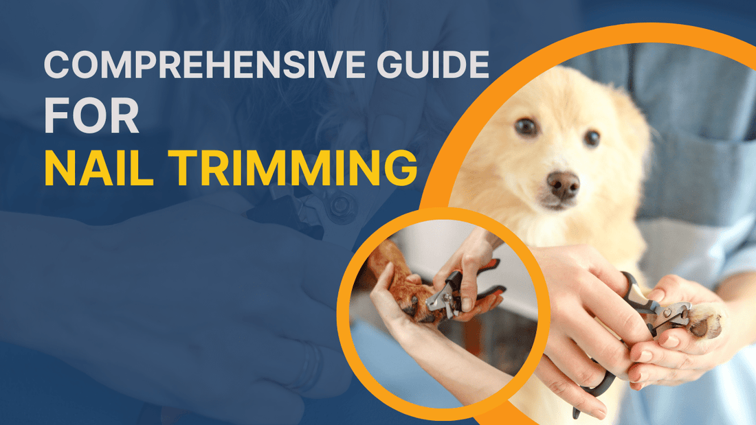 Techniques for Easy Pet Nail Trimming||Techniques for Easy Pet Nail Trimming