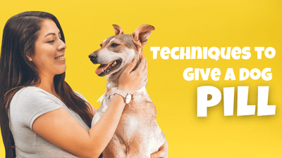 Administering Pills to Dogs|Administering Pills to Dogs