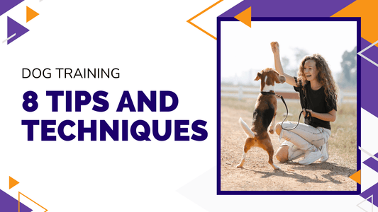 Dog Training|Leash Training|