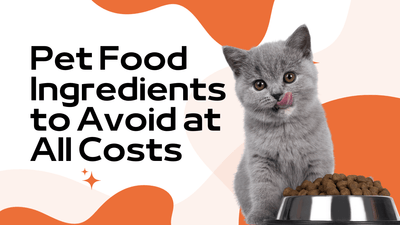 Pet Food Ingredients to Avoid at All Costs|Hydration in Pet Nutrition|grain-free diets