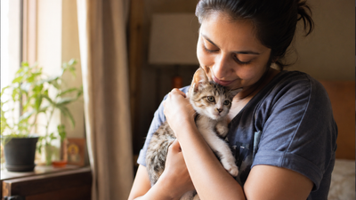 Pet parent gently holding a kitten, illustrating early care and awareness of pectus excavatum in cats.