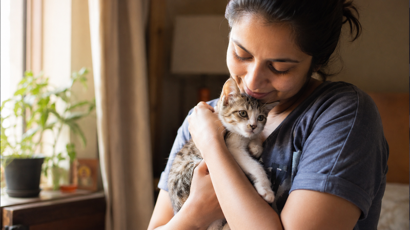 Pet parent gently holding a kitten, illustrating early care and awareness of pectus excavatum in cats.