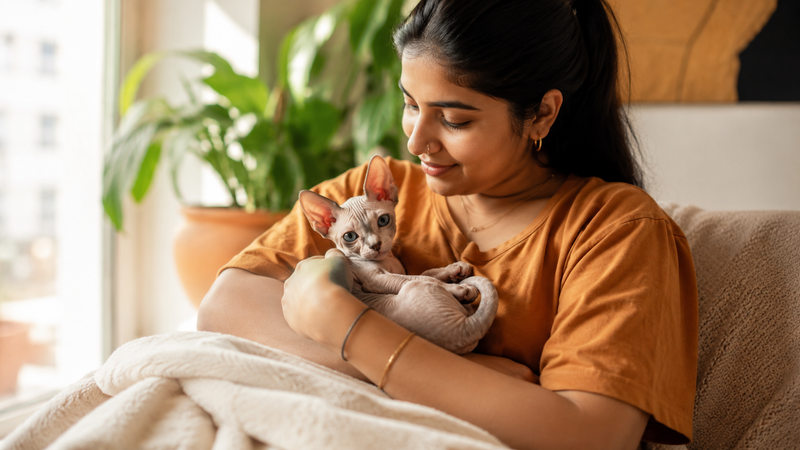 Pet parent gently holding a kitten, illustrating supportive care for genetic muscle diseases in cats.
