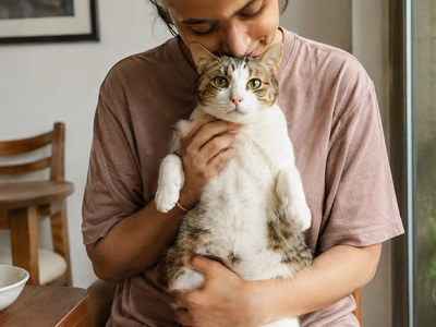 Megaesophagus in Cats: Causes, Feeding Positions, and Management