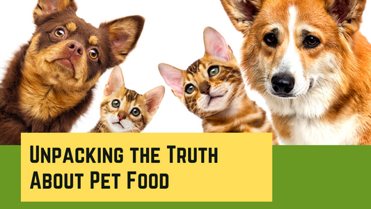 Debunking Common Myths About Pet Food and Nutrition