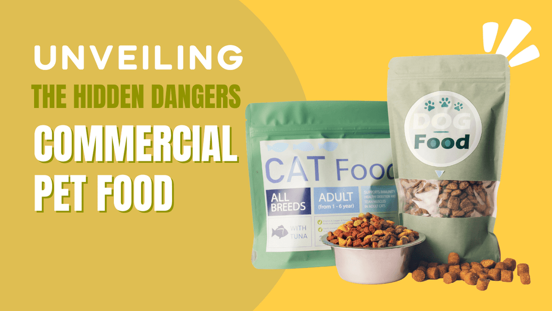 Unveiling the Hidden Dangers in Commercial Pet Food-min|The Truth About Preservatives in Commercial Pet Food-min|Homemade vs. Commercial Pet Foods_ Weighing the Pros and Cons-min