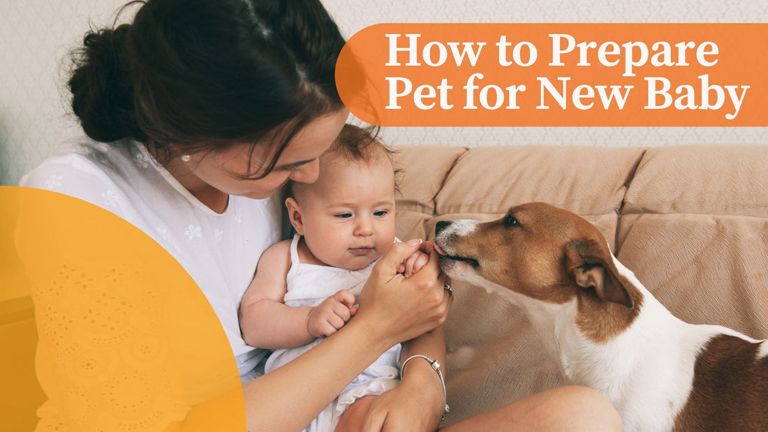 How to Prepare Pet for New Baby|How to Prepare Pet for New Baby