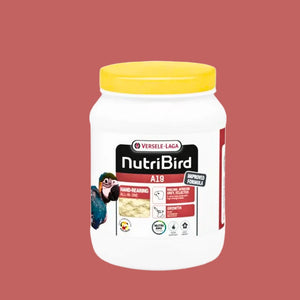 Infant Food For Birds