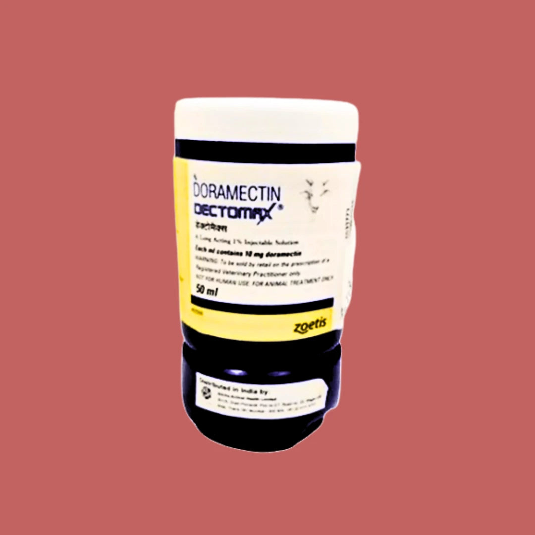 Animeal
