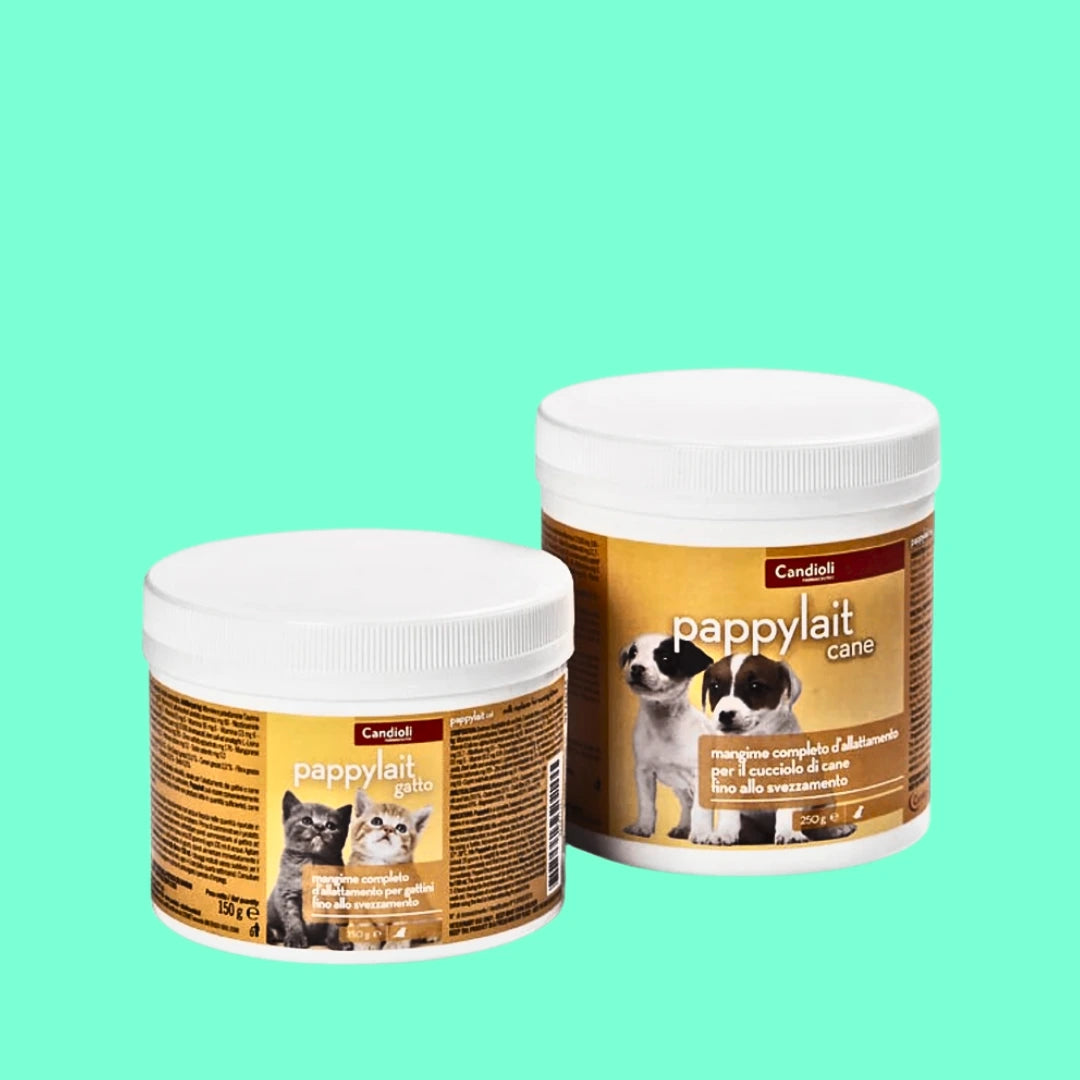 Animeal