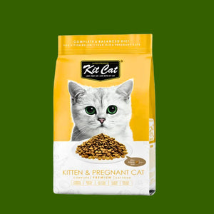 Premium Food For Cats