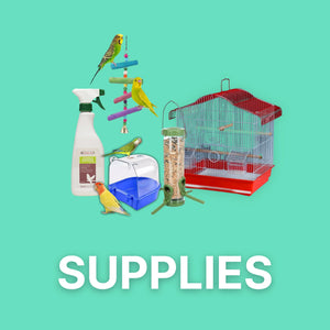 Supplies For Birds