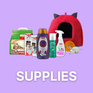 Cat Supplies