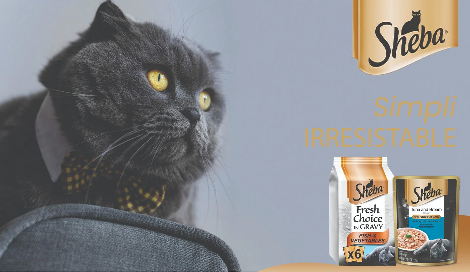 AnimealSHEBA CHICKEN CAN FOOD - Upto 15% Off - Animeal