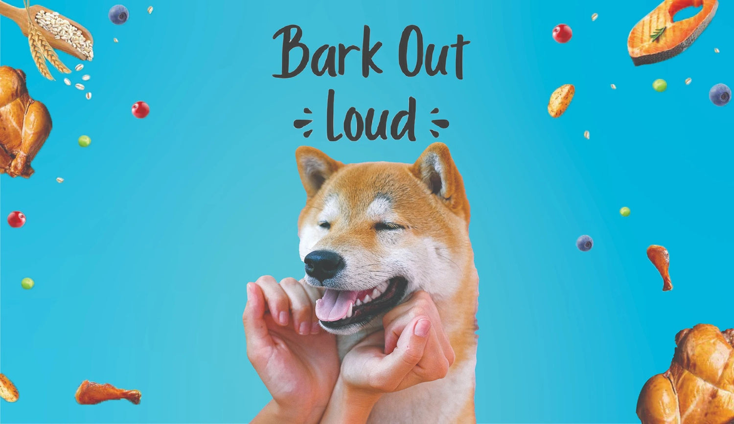 Bark Out Loud