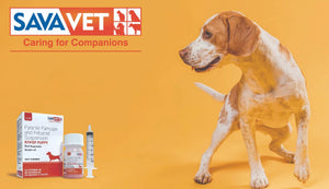 Sava Vet
