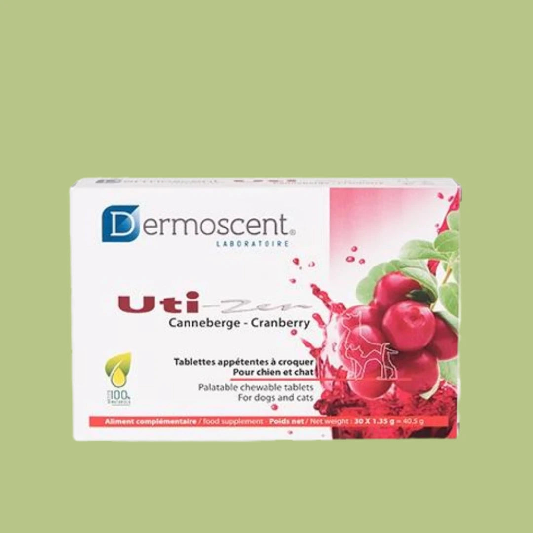 Ackee As A Remedy For Urinary Tract Infections In Cats