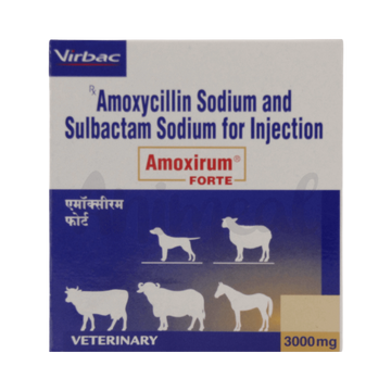 AMOXIRUM FORTE INJ 3000MG - Animeal