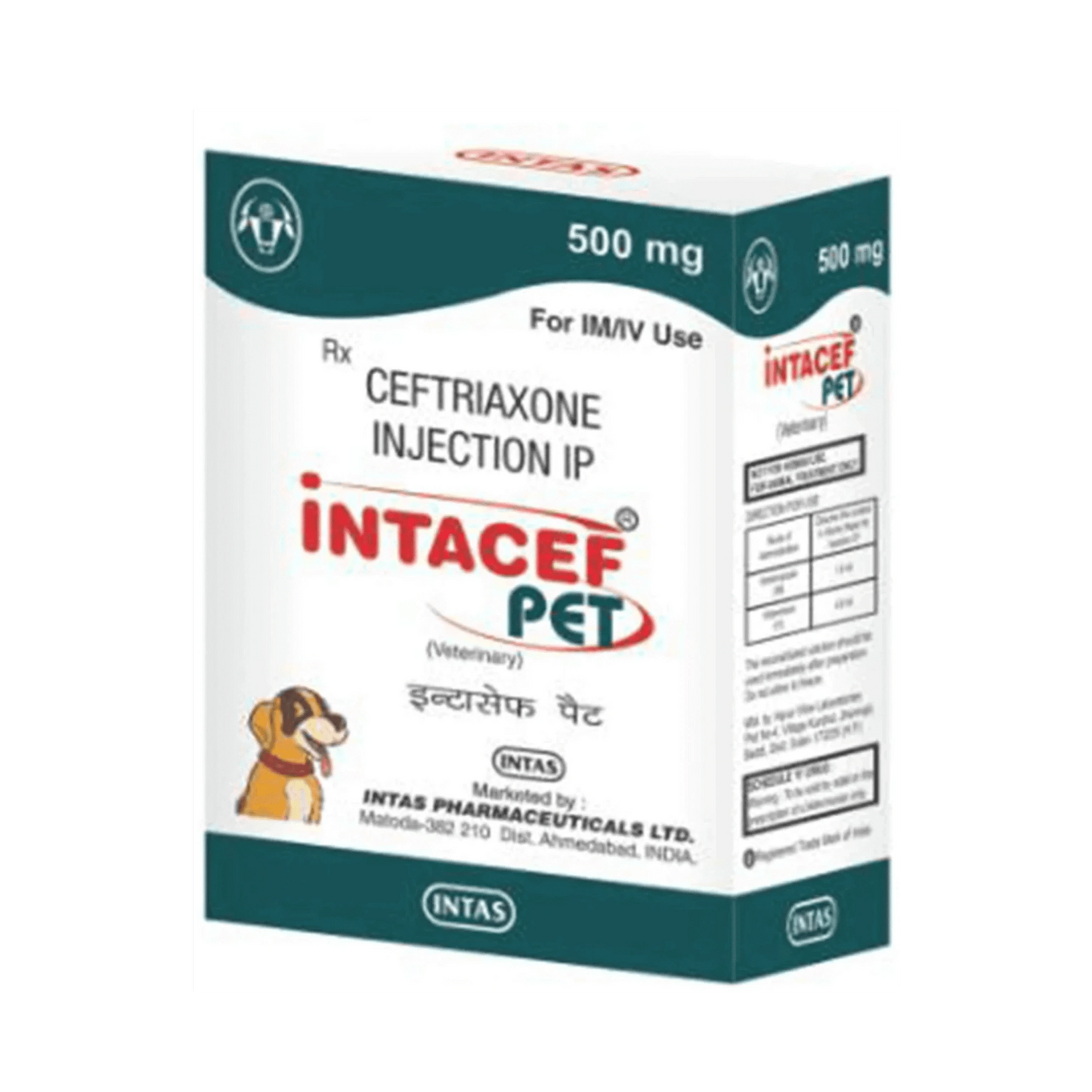 INTACEF PET 500MG INJ 5ML