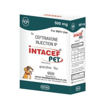 INTACEF PET 500MG INJ 5ML