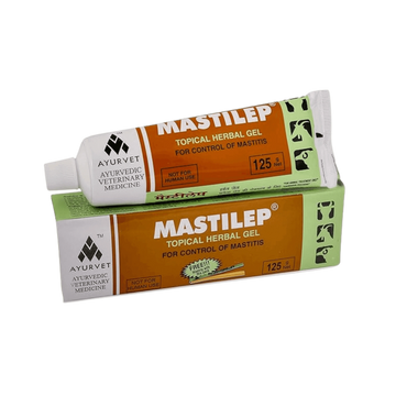 MASTILEP HEBAL GEL 125GM