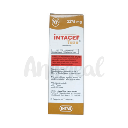 INTACEF TAZO 3375MG INJ 10ML