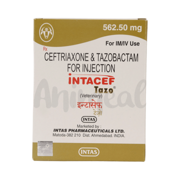 INTACEF TAZO PET 562.50MG INJ - Animeal