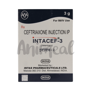 INTACEF-3 INJ 10ML