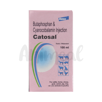 CATOSAL INJECTION (L) 100ML