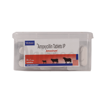 AMOXIRUM BOLUS - Animeal