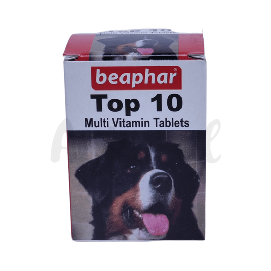 TOP 10 DOG TABLET (M) 60TAB