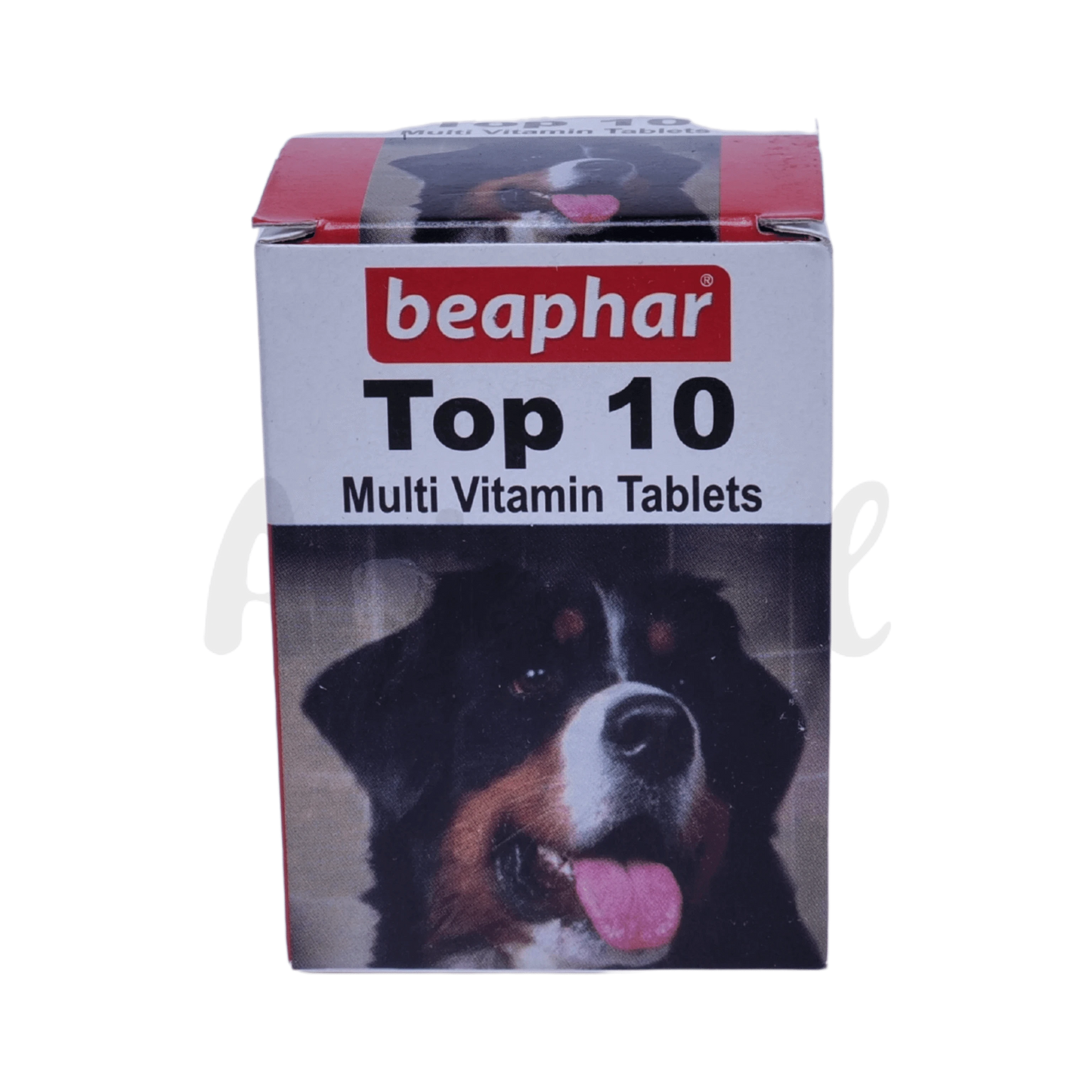 TOP 10 DOG TABLET (M)
