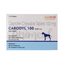 CARODYL 100 TABLET (S) 4TAB