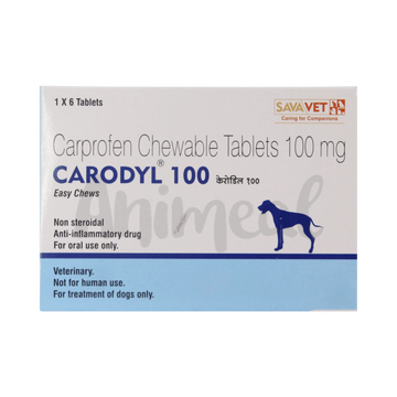 CARODYL 100 TABLET (S) 4TAB