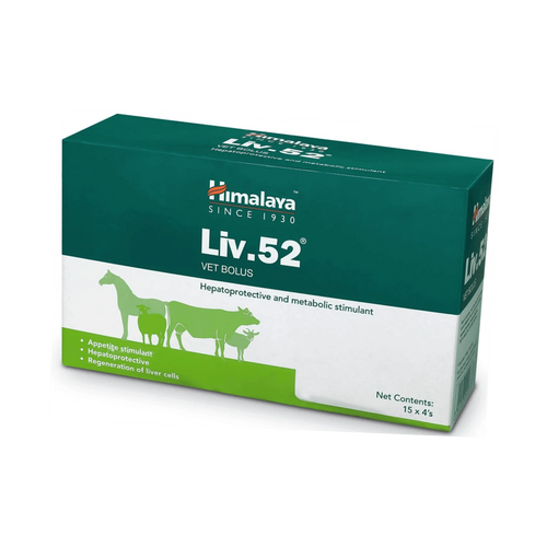 LIV-52 BOLUS 4BOLUS