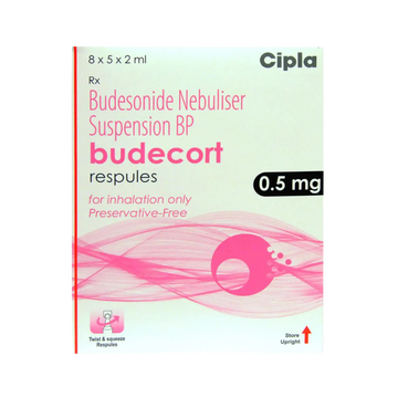 BUDECORT 0.5MG RESPULES - Animeal