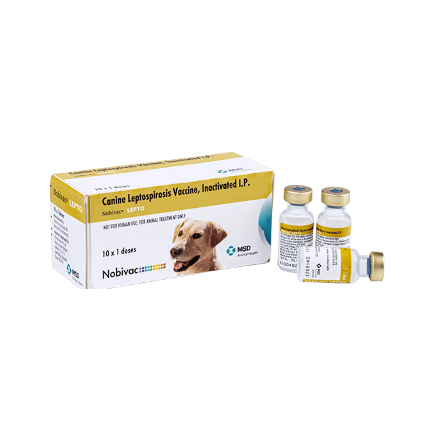 NOBIVAC DHPPI *LEPTO 1ML