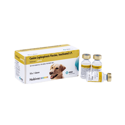 NOBIVAC DHPPI *LEPTO 1ML