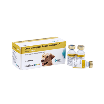 NOBIVAC DHPPI *LEPTO 1ML