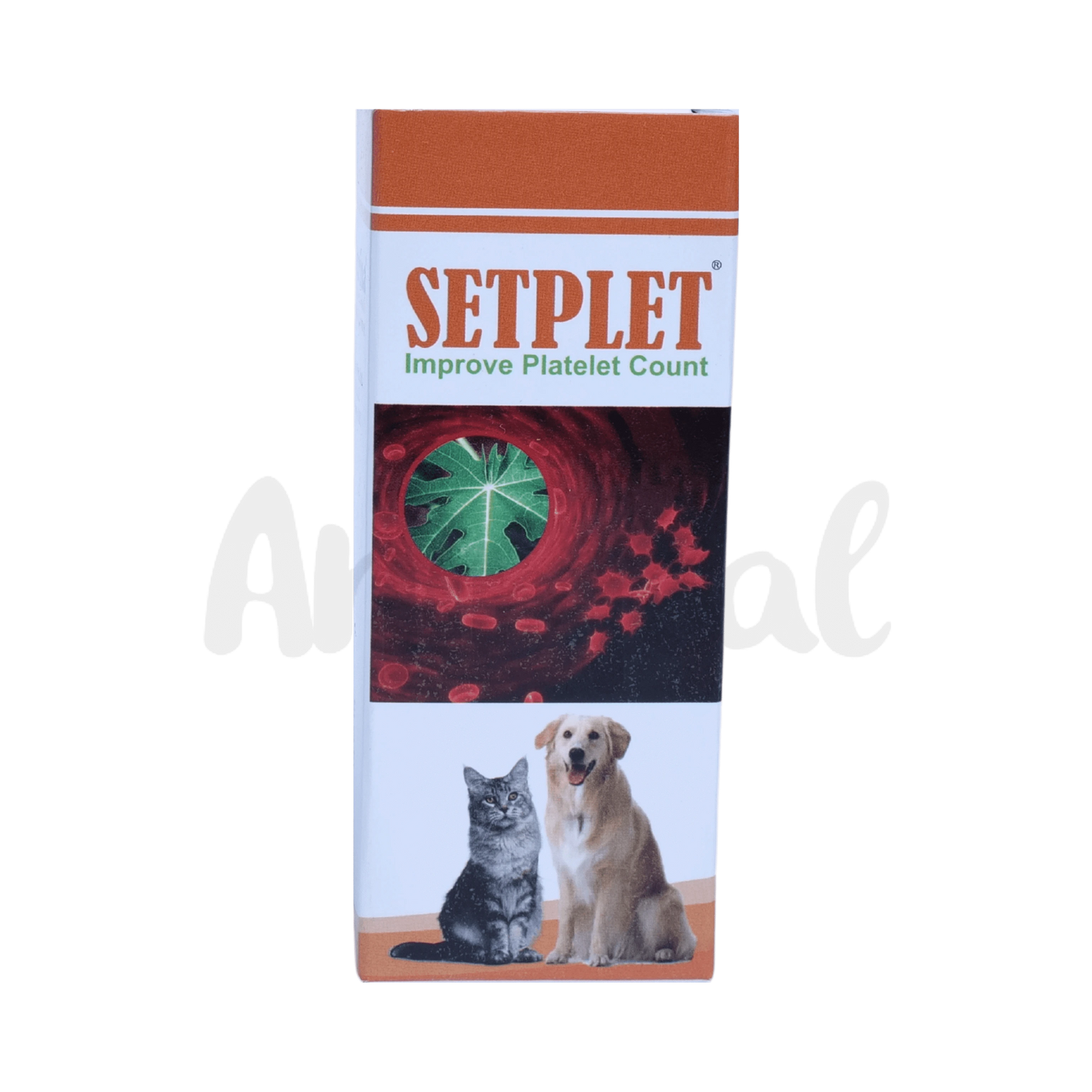 SETPLET SYRUP - Animeal