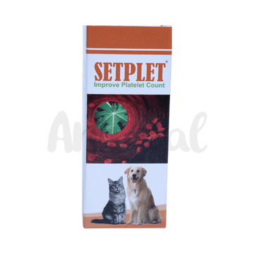 SETPLET SYRUP - Animeal