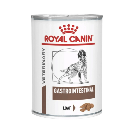 RC GASTRO DOG CAN FOOD