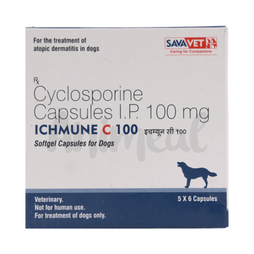 ICHMUNE C 100 CAPSULE 6CAP