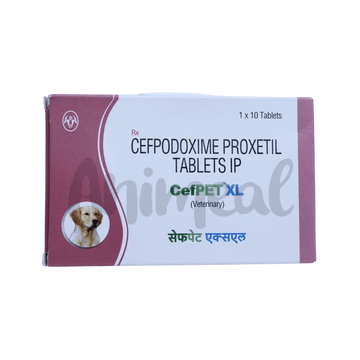 CEFPET XL TABLET 10TAB