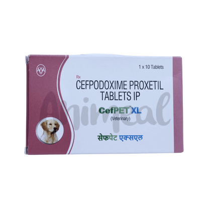 CEFPET XL TABLET 10TAB