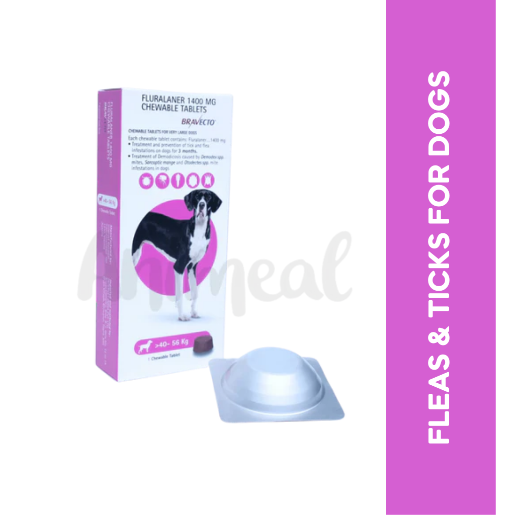 BRAVECTO (40-56KG) DOG TABLET - Animeal